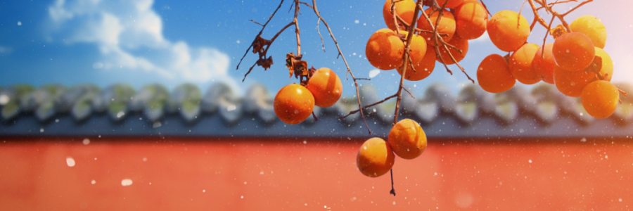 霜降 | 寒霜冬將至，補(bǔ)陽須及時(shí)