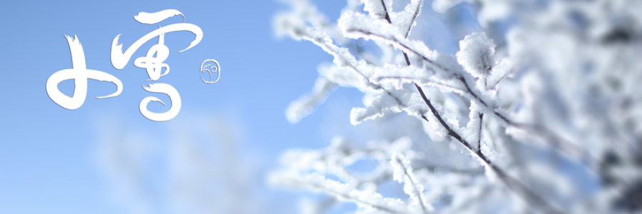 小雪丨雪落天地寒，愿君多珍重