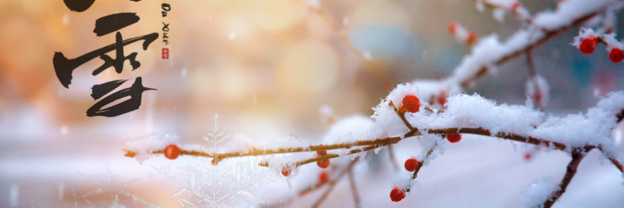 大雪丨 養(yǎng)陰護(hù)陽(yáng)，君心不忘