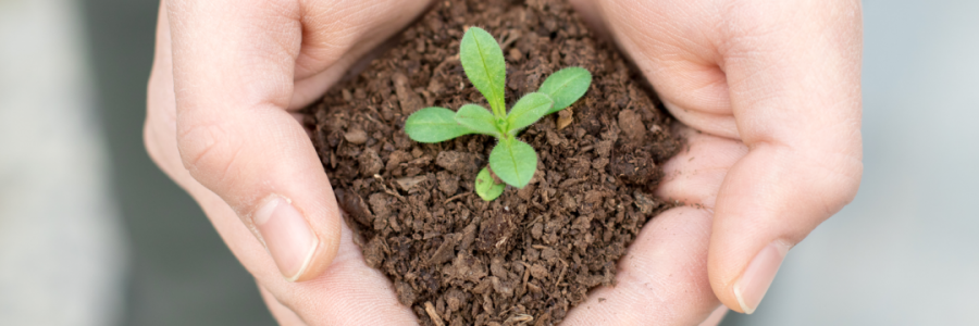 火運(yùn)不及的癸卯年，亟需補(bǔ)火護(hù)陽！