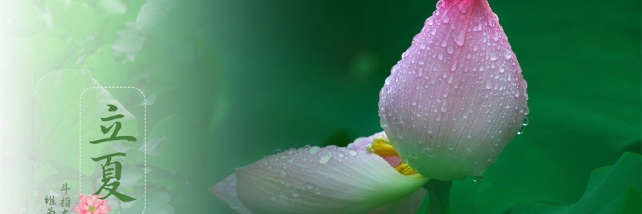 立夏 | 滿園芳立，夏色初染