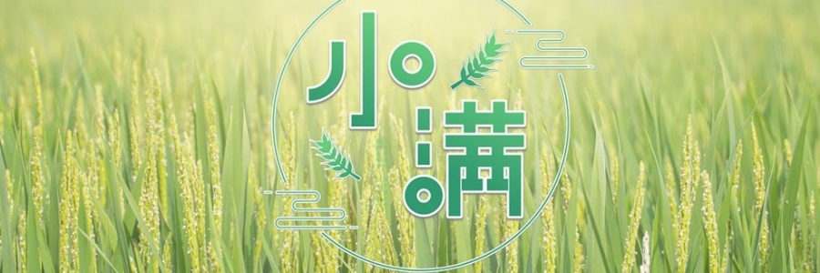 小滿 | 萬物漸豐，小得盈滿