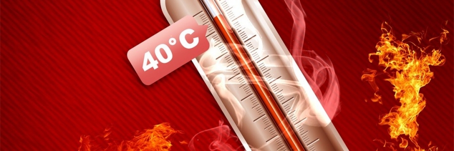 真的會“熱死人”！這個“夏天殺手”要警惕！