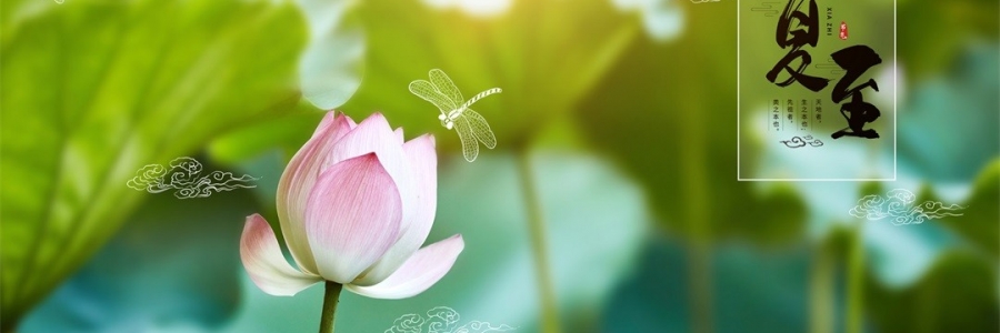 夏至 | 陽極陰生，美好日長