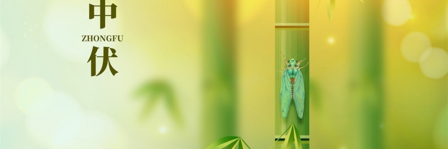 不想越扎越深？ 中伏拔病根，不做病床人！