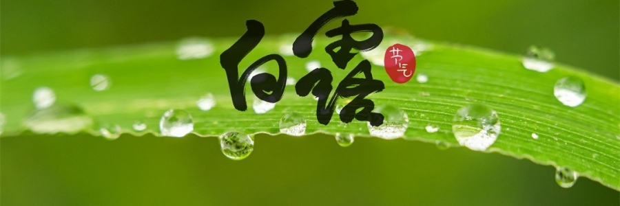 白露 | 天涼身勿露，灸火暖秋色