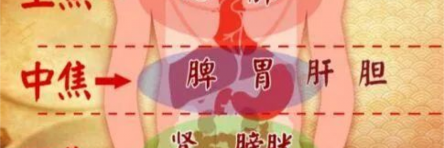 突破600億播放量的《羅剎海市》，竟然還暗藏中醫(yī)奧秘？