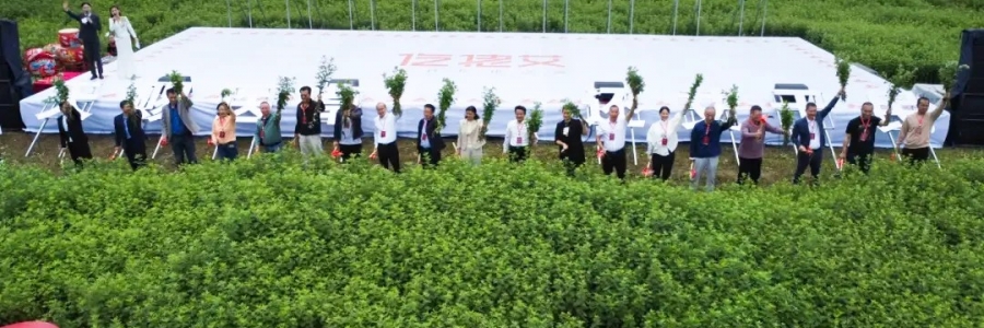 大事記丨“千年弦歌·仡佬醫(yī)藥”務(wù)川仡佬艾草文化節(jié)圓滿(mǎn)成功