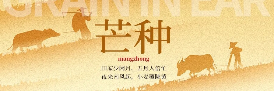 芒種丨“芒”有所獲，“種”有所得