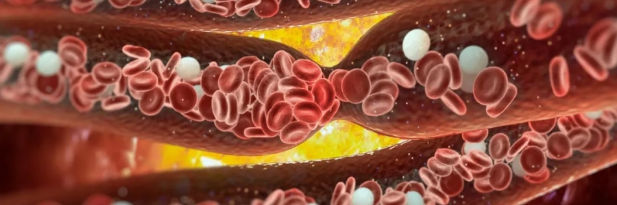 經(jīng)絡(luò)通，百病消！身體經(jīng)絡(luò)通了是什么感覺？