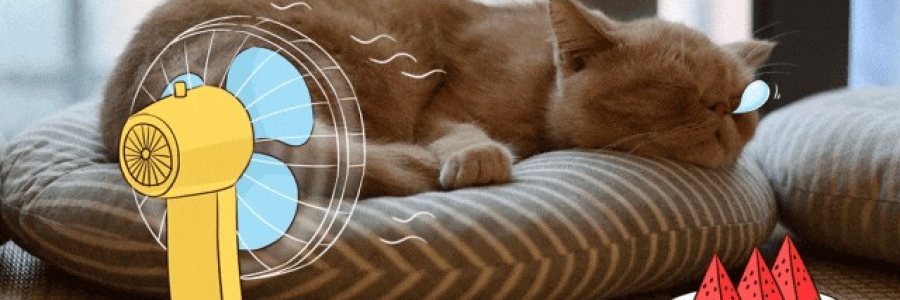 越睡越困的夏天，一個(gè)穴位趕走疲倦……