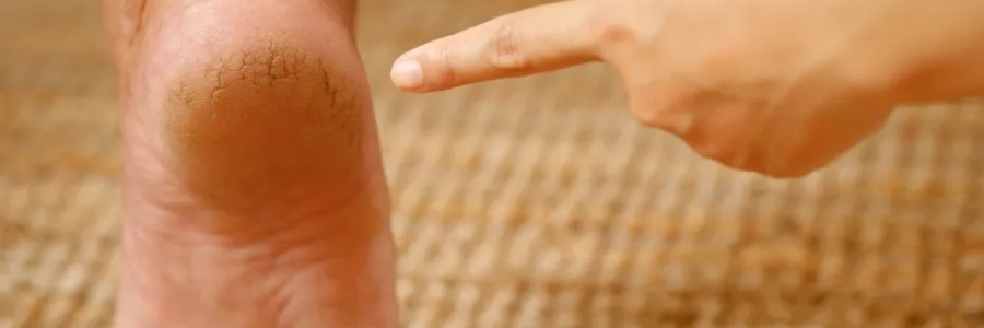 每天跺跺腳，從腳養(yǎng)到頭，越跺越年輕！