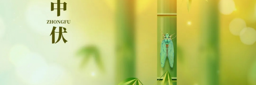 三伏灸丨破三冰，泄三濁，清五毒，祛六淫！