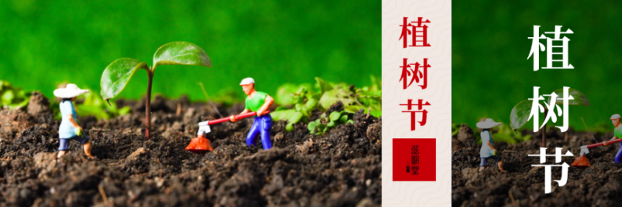 外植綠樹，內(nèi)養(yǎng)肝木，別忘給身體也“種下”護(hù)肝種子！